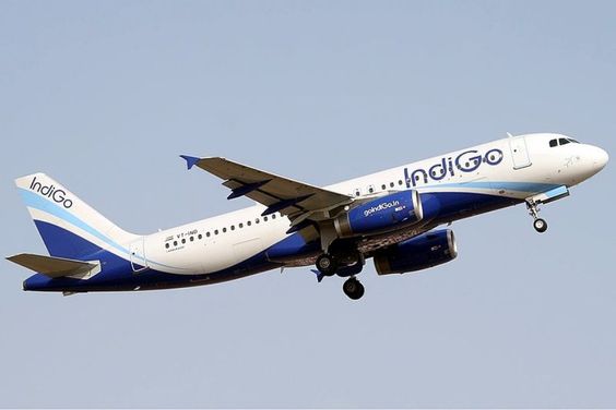 IndiGo aircraft at the airport terminal, symbolizing India's largest low-cost airline.