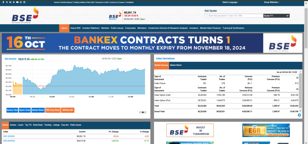 How to Check Waaree Energies IPO Allotment Status Now